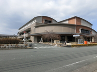 Medium_cimg0397