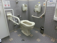 Medium_cimg0303