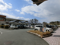 Medium_cimg0394