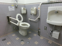 Medium_cimg0345