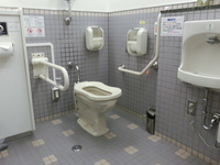 Medium_cimg0300