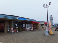 Medium_dscf3302