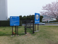 Medium_dscf3314