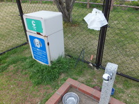 Medium_dscf3324