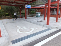 Medium_dscf3347