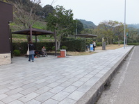 Medium_dscf3354