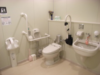 Medium_rimg0048