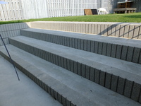 Medium_dscf3988