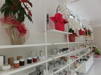 Medium_dscf3983