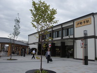 Medium_img_8633