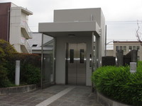 Medium_img_8136