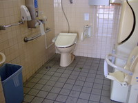 Medium_dscf5529