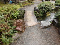Medium_cimg0168