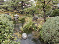 Medium_cimg0606