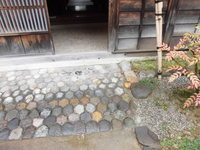 Medium_cimg0591