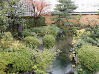 Medium_cimg0601