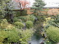 Thumb_cimg0601