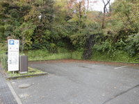Medium_cimg0693