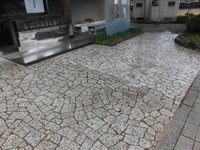 Medium_cimg1176