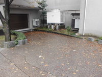 Medium_cimg1177