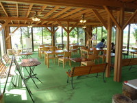 Medium_p9092496