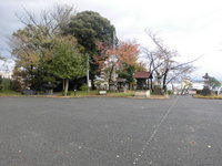 Medium_cimg0937