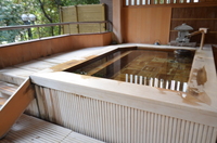 Medium_dsc_8184