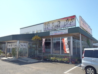 Medium_p9182698