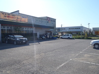 Medium_p9182751