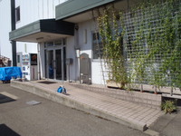 Medium_p9182701
