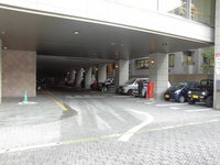 Medium_cimg1524