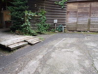 Medium_p7240750