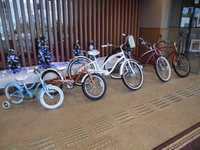 Medium_cimg2904
