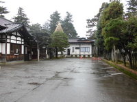 Medium_cimg3534