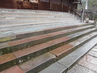 Medium_cimg3580