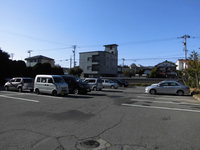 Medium_cimg2947