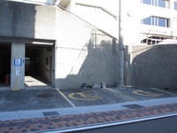 Medium_img_0279