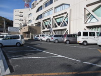 Medium_img_0274