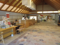 Medium_p7120308