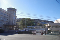 Medium_imgp8837