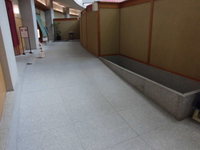 Medium_cimg3102