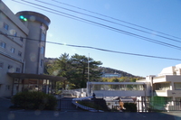 Medium_imgp8836