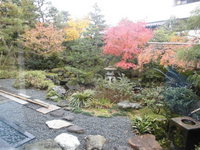Medium_cimg1240