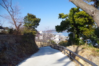 Medium_imgp0491
