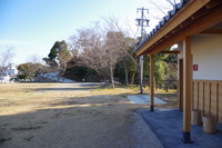 Medium_imgp0480
