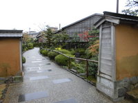 Medium_cimg0546