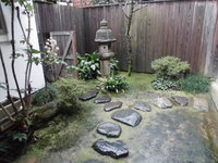 Medium_cimg1645