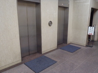 Medium_pa032966