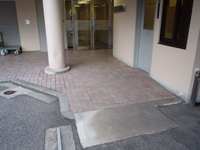 Medium_pa032955
