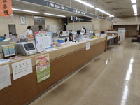 Medium_pa032958